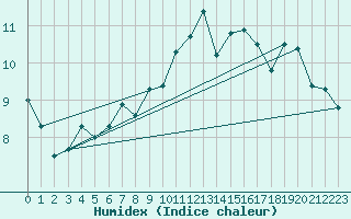 Courbe de l'humidex pour Cap Pertusato (2A)