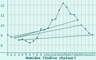 Courbe de l'humidex pour Schauenburg-Elgershausen