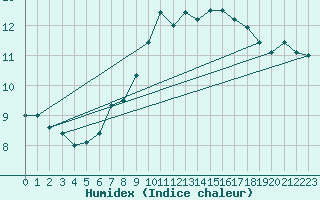 Courbe de l'humidex pour Offenbach Wetterpar