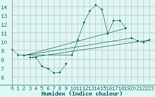 Courbe de l'humidex pour Florennes (Be)