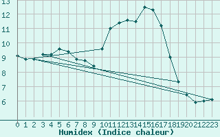 Courbe de l'humidex pour Sarzeau (56)