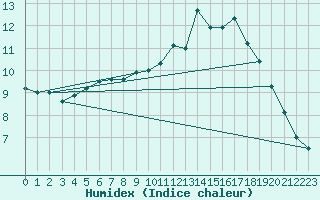 Courbe de l'humidex pour Saint-Hubert (Be)