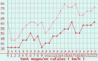 Courbe de la force du vent pour Vlakte Van Raan