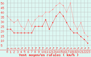 Courbe de la force du vent pour Vlakte Van Raan