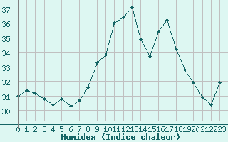 Courbe de l'humidex pour Ile du Levant (83)