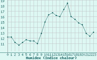 Courbe de l'humidex pour Forde / Bringelandsasen