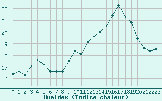 Courbe de l'humidex pour Muret (31)