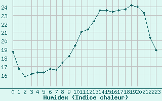 Courbe de l'humidex pour Albi (81)