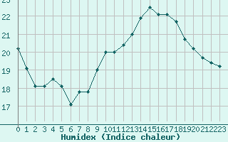 Courbe de l'humidex pour Mont-Aigoual (30)