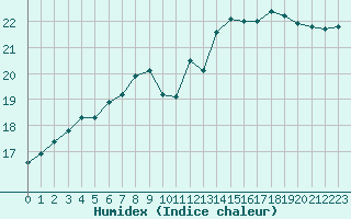 Courbe de l'humidex pour Brigueuil (16)