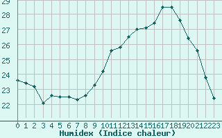 Courbe de l'humidex pour Perpignan (66)