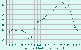 Courbe de l'humidex pour Muret (31)