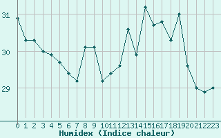 Courbe de l'humidex pour Pointe de Chassiron (17)