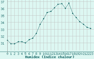 Courbe de l'humidex pour Ile du Levant (83)