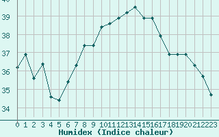 Courbe de l'humidex pour Sharm El Sheikhintl