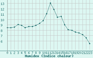 Courbe de l'humidex pour Zurich Town / Ville.