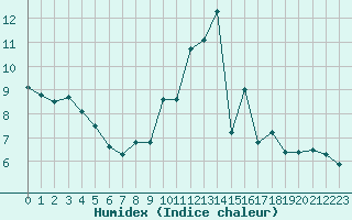 Courbe de l'humidex pour Paris - Montsouris (75)