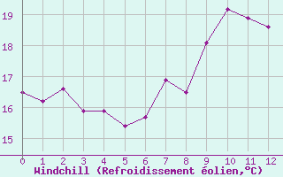 Courbe du refroidissement olien pour M. Calamita
