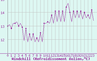 Courbe du refroidissement olien pour Platform L9-ff-1 Sea