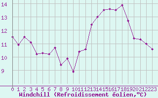 Courbe du refroidissement olien pour Cherbourg (50)