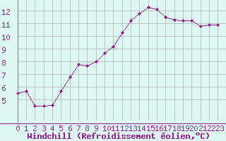Courbe du refroidissement olien pour Reims-Prunay (51)