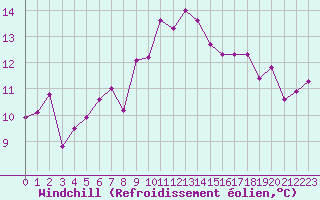 Courbe du refroidissement olien pour Meiningen