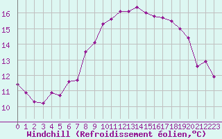 Courbe du refroidissement olien pour Mullingar