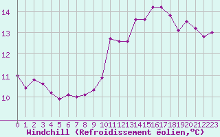 Courbe du refroidissement olien pour Lille (59)