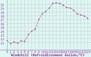 Courbe du refroidissement olien pour Dourbes (Be)