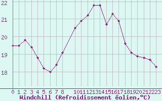 Courbe du refroidissement olien pour Hoek Van Holland