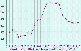 Courbe du refroidissement olien pour Ile du Levant (83)