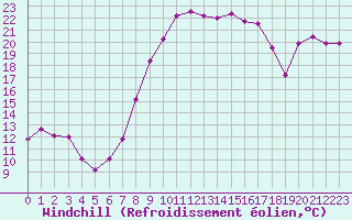 Courbe du refroidissement olien pour Schpfheim