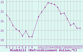 Courbe du refroidissement olien pour Pirou (50)