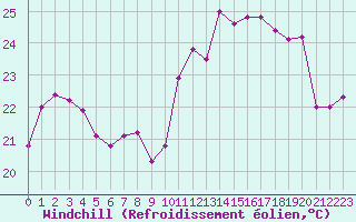 Courbe du refroidissement olien pour Gibraltar (UK)