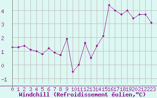 Courbe du refroidissement olien pour Schauenburg-Elgershausen