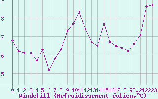 Courbe du refroidissement olien pour Terschelling Hoorn