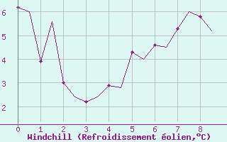 Courbe du refroidissement olien pour Utti