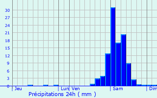 Graphique des précipitations prvues pour Haux