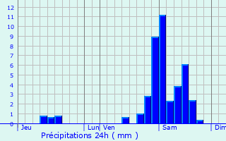 Graphique des précipitations prvues pour Bhorlguy