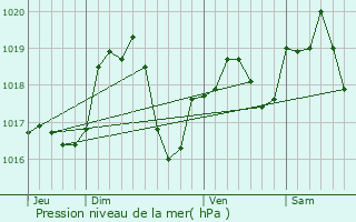 Graphe de la pression atmosphrique prvue pour Riedisheim