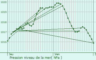 Graphe de la pression atmosphrique prvue pour Tongeren