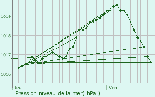 Graphe de la pression atmosphrique prvue pour Hoeselt