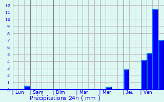 Graphique des précipitations prvues pour Blr