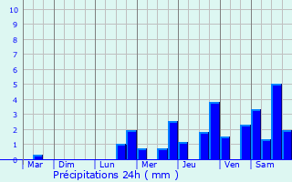 Graphique des précipitations prvues pour Vichy
