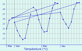 Graphique des tempratures prvues pour Escource