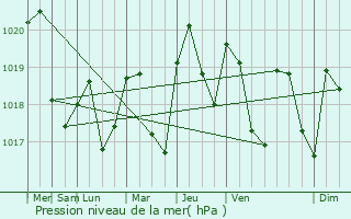 Graphe de la pression atmosphrique prvue pour Roquecourbe