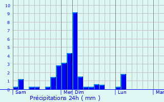 Graphique des précipitations prvues pour Castelnavet