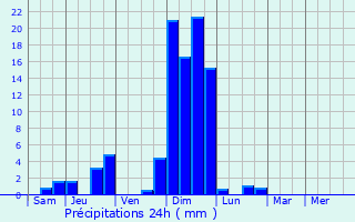 Graphique des précipitations prvues pour Neufmaisons