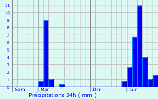 Graphique des précipitations prvues pour Viellenave-d