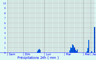 Graphique des précipitations prvues pour Chougny